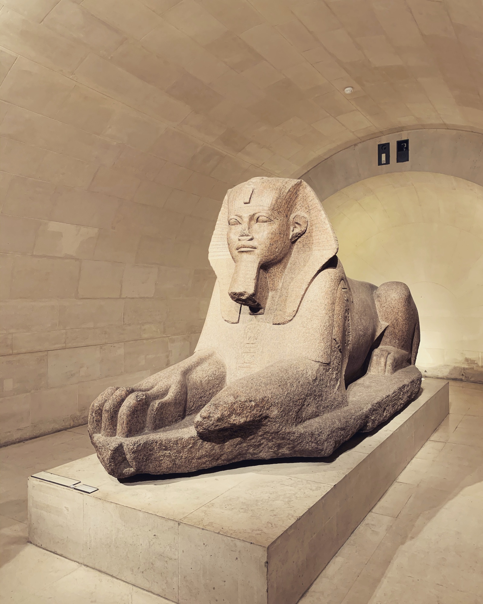 The Tale of a Supply Chain in Crisis: From Chaos to Clarity