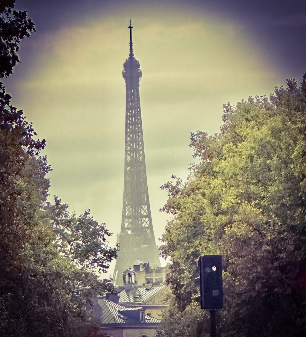 Architects of Value: A Private Equity Transformation&nbsp;Story