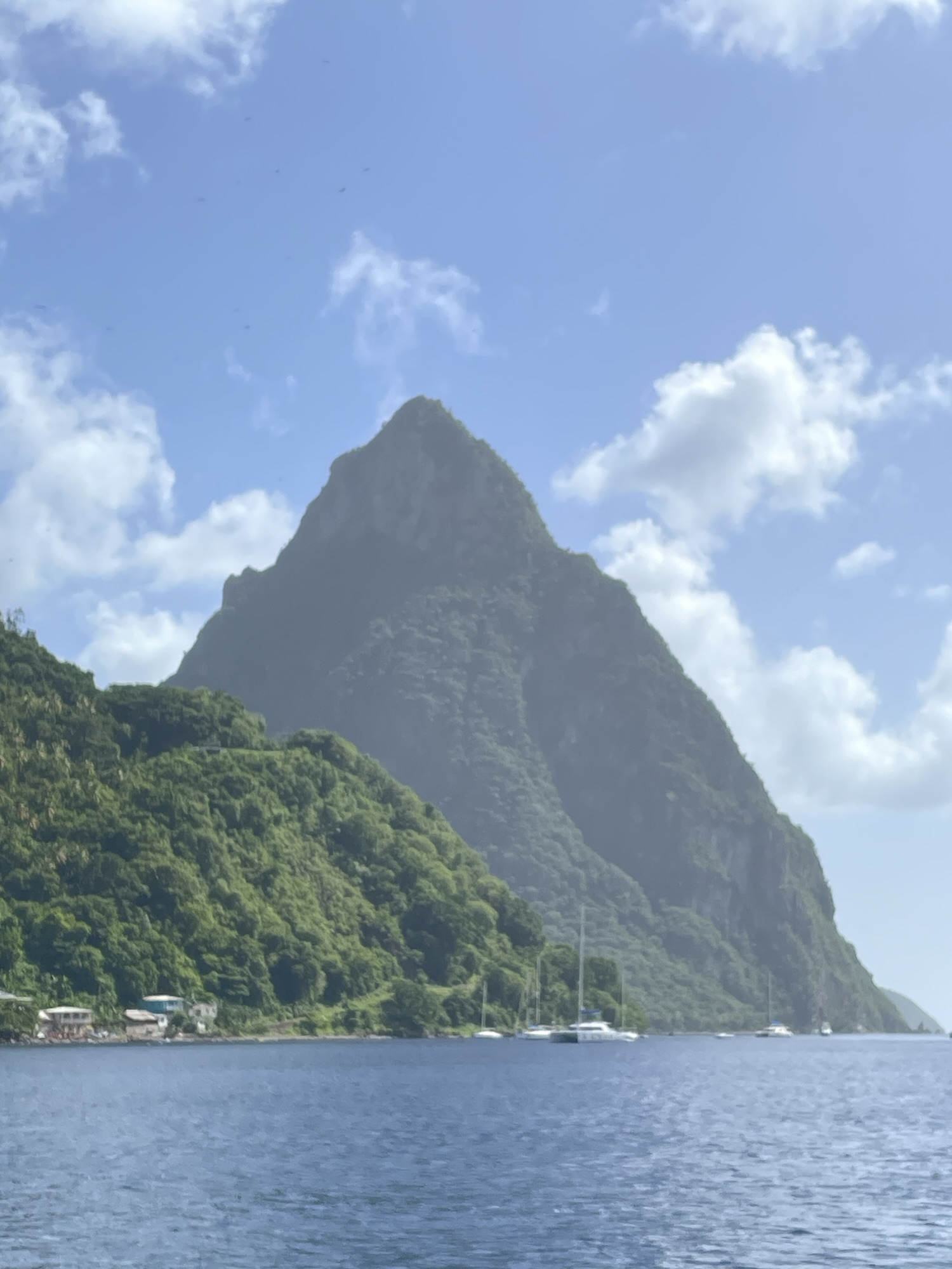 The Boardroom Debate: Four Consultants, One Truth About Project Success