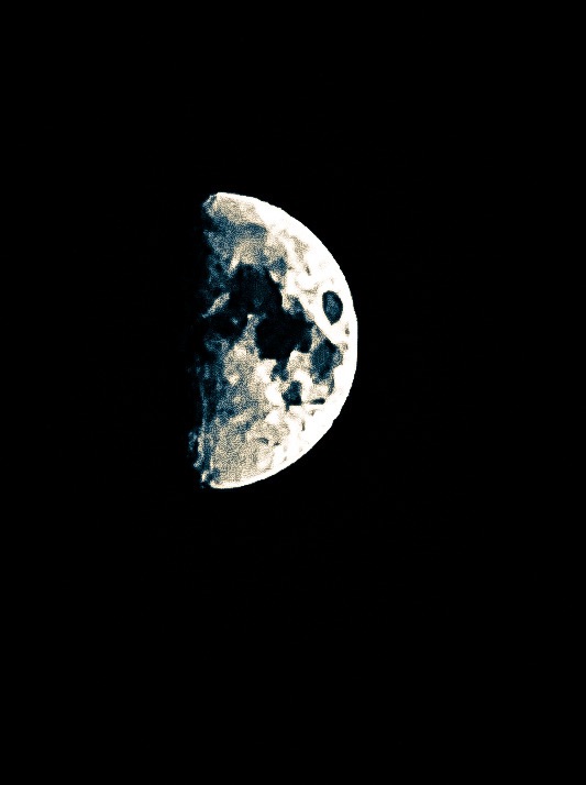 “The Brain of Business: What Biology Teaches Us About&nbsp;Leadership”